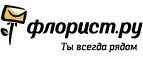Флорист.ру: Магазины цветов Волгограда: официальные сайты, адреса, акции и скидки, недорогие букеты